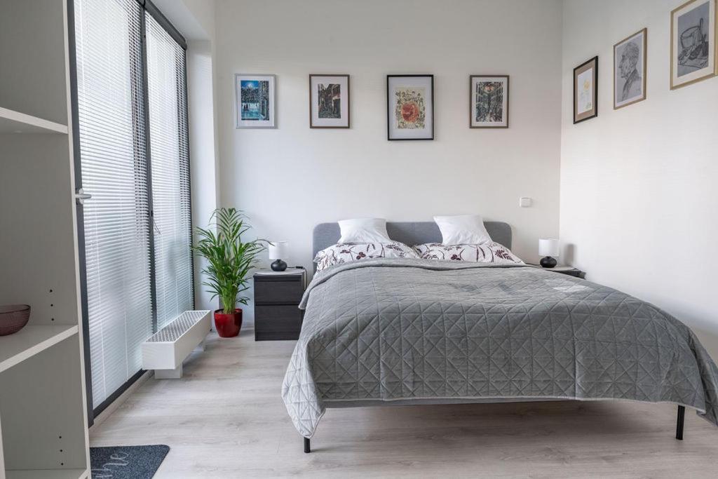 Nove Sady Olomouc 아파트 외부 사진